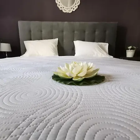 Appartement Oasis Luxury Detached House In With Hydromassage