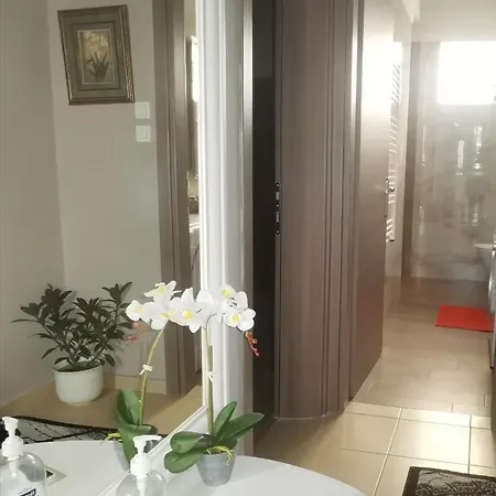 Oasis Luxury Detached House In With Hydromassage Appartement Thessalonique